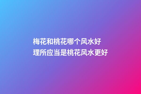 梅花和桃花哪个风水好 理所应当是桃花风水更好
